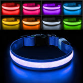 PcEoTllar light-up collar close-up showing colorful LEDs for better night visibility.