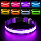PcEoTllar light up dog collar with colorful RGB LEDs for safer night walks.
