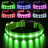 PcEoTllar light up collar with 500m visibility for safer night walks.