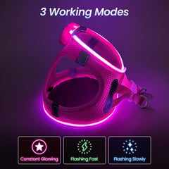 PcEoTllar light up dog harness back view highlighting reflective trim for night visibility.