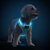PcEoTllar light up dog harness blue front view for enhanced night visibility.