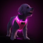 PcEoTllar light up dog harness front view shows 360° brightness for safer night walks.