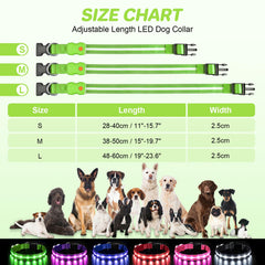 PcEoTllar waterproof dog collar withstands rain and splashes during outdoor adventures.