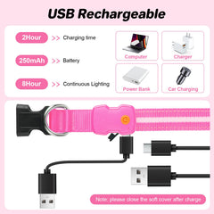 PcEoTllar waterproof LED dog collar shown in rain or shallow water