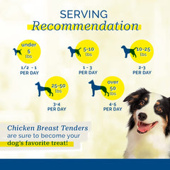 PCI Pet Center dog-chewing image illustrates durable, flavorful treats for enjoyable chew sessions