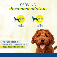 PCI Pet Center turkey sticks close up shows textured surface with natural turkey aroma