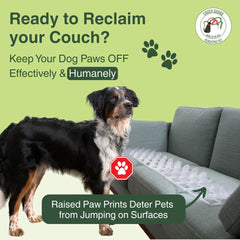 PEACHTREE PET clear dog deterrent on sofa—keeps pets comfortable while discouraging climbing.