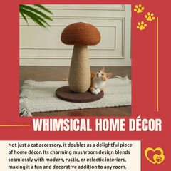 PECHVINO Shiitake cat scratching session demonstrates furniture protection through a dedicated scratch area.