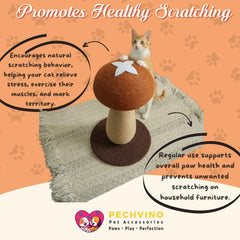 PECHVINO Shiitake sisal rope close-up highlights durable, claw-friendly texture for healthy scratching.