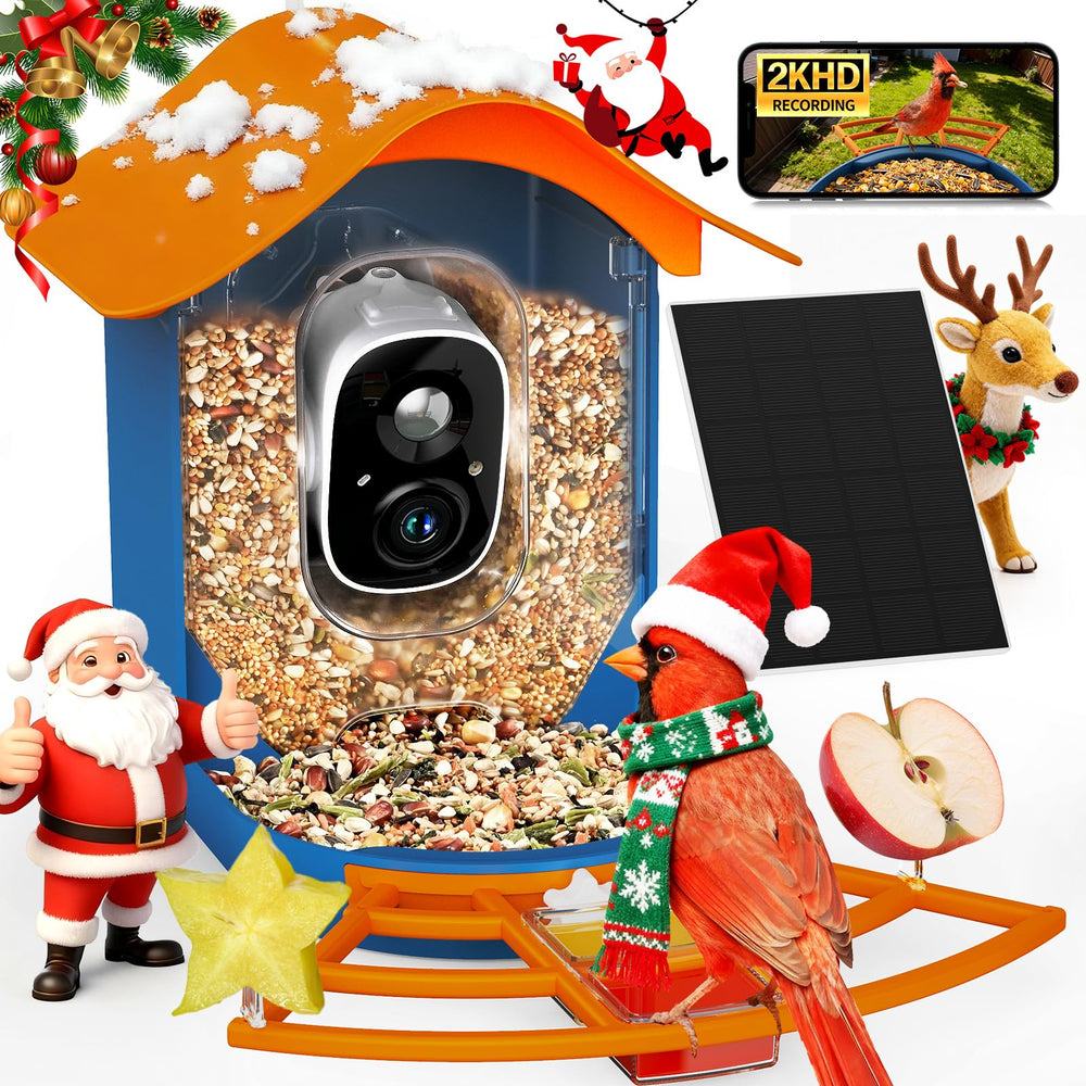 PeckCam Smart Bird Feeder camera 2K live view for detailed backyard birdwatching