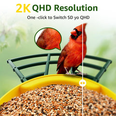Solar panel on PeckCam feeder powers ongoing birdwatching without frequent charging.