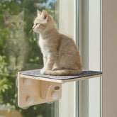 Pecute 2-in-1 Cat Window Perch assembly demonstrates quick setup for a sunny resting spot.