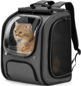 Pecute Cat Backpack Bubble back view shows roomy interior for comfortable travel