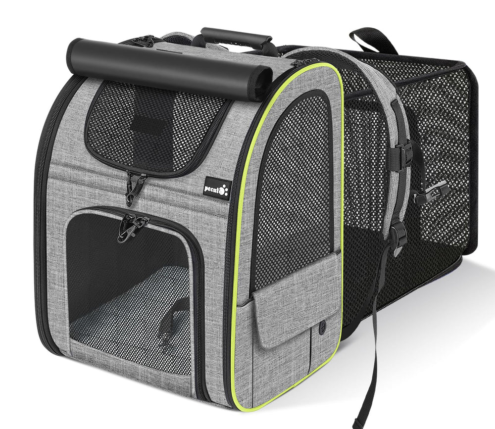 Pecute cat-backpack-expandable-back offers roomy space for pets during travel.