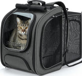 Pecute cat backpack expandable front view showing roomy travel space