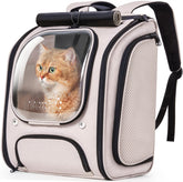 Pecute cat backpack front view shows a spacious bubble carrier for comfortable outings.
