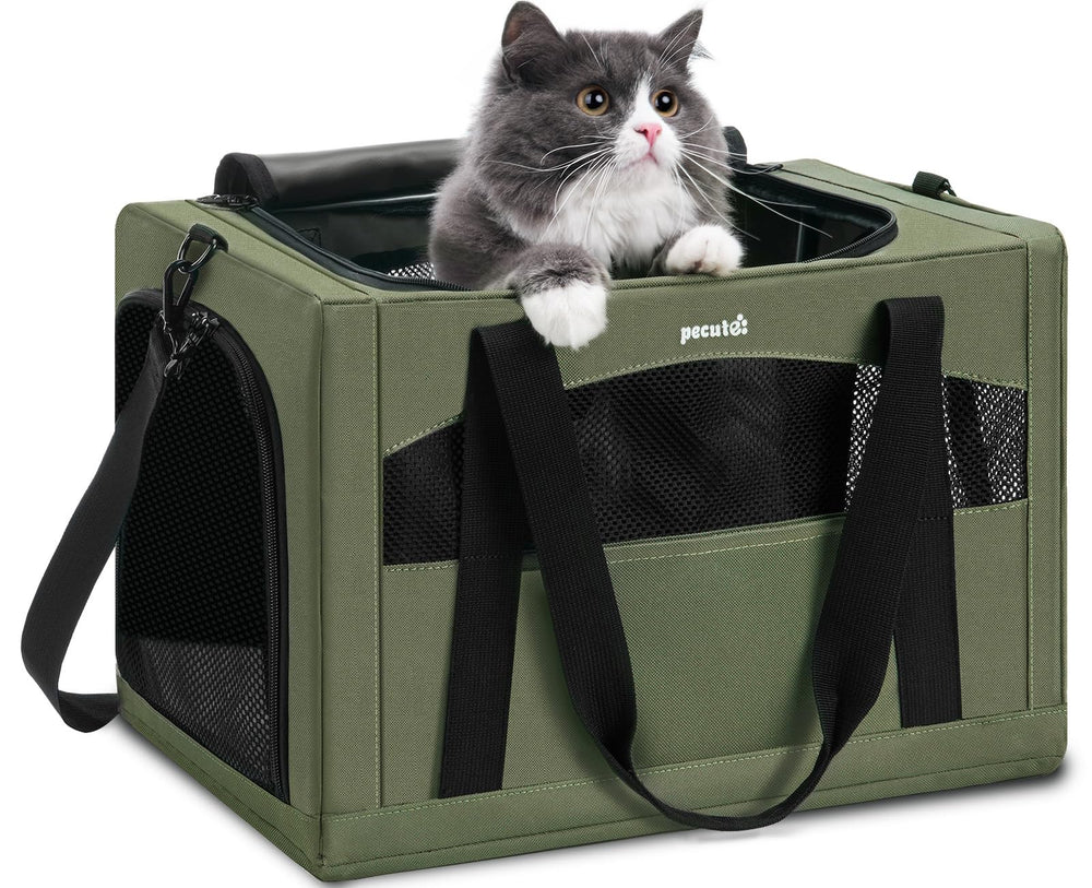 Pecute cat carrier steel-frame close-up shows sturdy construction for secure travel.
