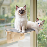 Pecute cat window perch solid wood frame fits 21x11 for sturdy lounging by sunlit windows.
