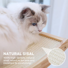 Pecute cat window perch suction cups secure mounting.