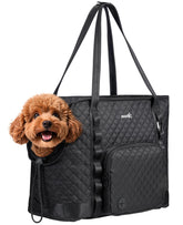 Pecute dog purse carrier showcases a lightweight design for easy outings.