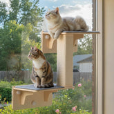 Pecute double cat shelves wall-suction secure wall mounting for active climbing and lounging