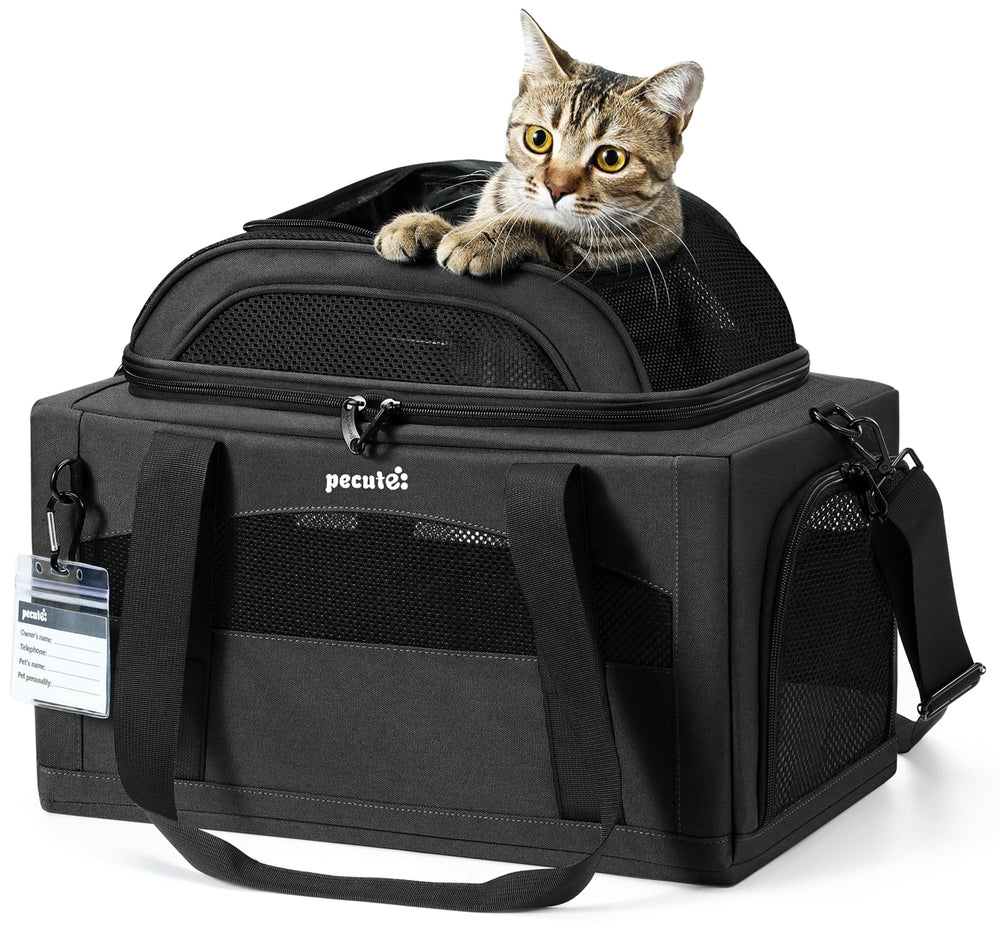 Pecute expandable pet carrier under-seat design for easy in-cabin travel with pets under 11 lbs