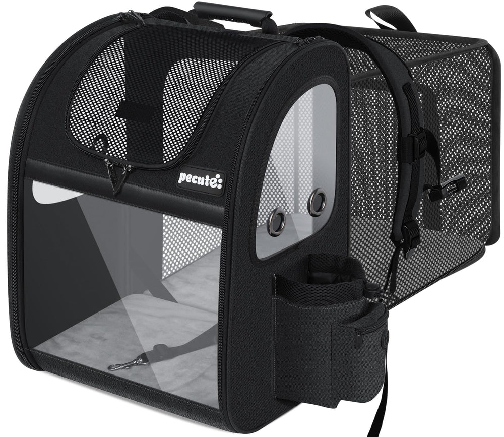 Pecute pet carrier backpack front view showing roomy fit for small dogs and cats