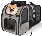 Pecute pet carrier backpack front view shows sturdy build and travel-ready design