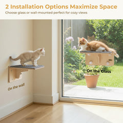 Pecute solid wood cat shelves in birch offer durable, warp-resistant support.