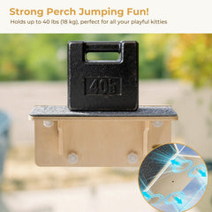 Pecute suction cups provide strong grip for active cats.