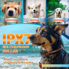 Pedono waterproof dog collar ready for rain, mud, and outdoor play