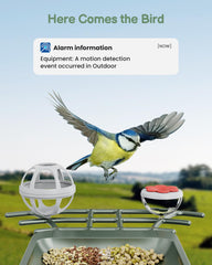 PEEIPM Solar-powered bird feeder view captures sun-powered operation and bird activity.