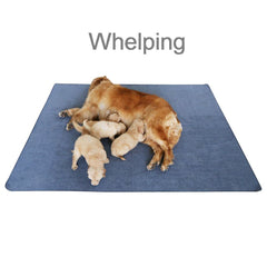 Peepeego washable pad durability image demonstrates long-lasting, eco-friendly reuse.