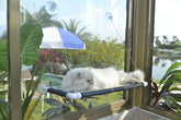 PEFUNY cat window hammock suction setup for steady sunbathing