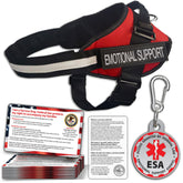 Pelto ESA harness with reflective chest strap for nighttime visibility and control.