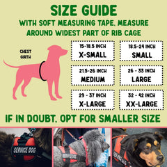 Pelto ESA two-sided metal ID tag attached to a collar for clear identification.