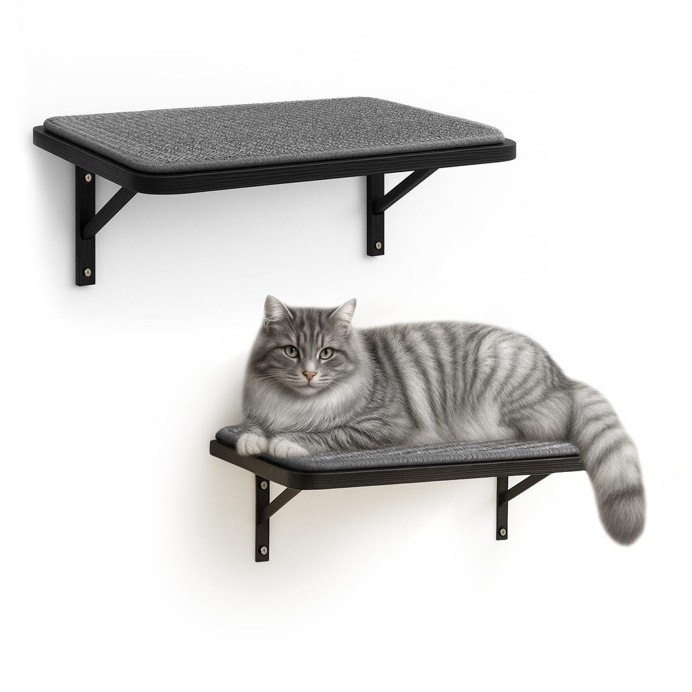 PEL UMOZ Cat Wall Shelves set of 2 mounted on wall for multi-cat lounging.