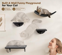 PEL UMOZ Cat Window Perch provides sunlit viewing and relaxed lounging.