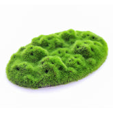 Penn-Plax Aqua-Flora Moss Patch in-tank ready-to-grow aquatic bed.
