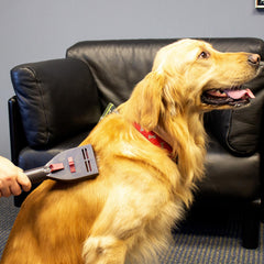 Penn-Plax VacGroom interchangeable comb short helps light-coat brushing with less mess