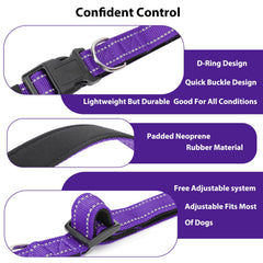 PenSeepet durable nylon webbing collar built to last through daily activity.