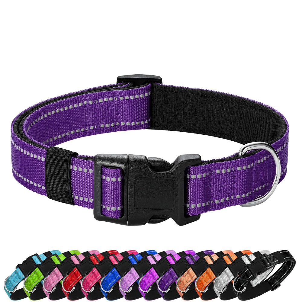 PenSeepet reflective dog collar with purple neoprene padding for safer night walks.