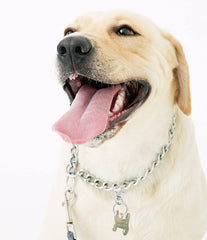 PENTA ANGEL key rings closeup highlighting sturdy 25 mm diameter rings