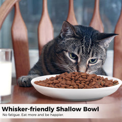 Peppapet ceramic cat feeding dishes 6in diameter sturdy and odor-free surface