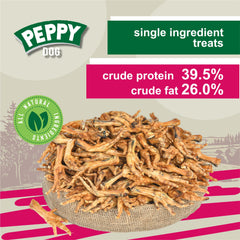 Peppy Dog dehydrated appearance signals lasting freshness and flavor.