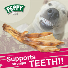 Peppy Dog joint health benefits image highlights glucosamine and chondroitin support