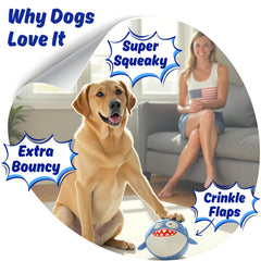 PeppyPawz Sharky hidden bouncing ball adds surprise fetch