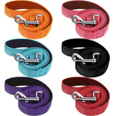Perthlin dog leash with 5ft double-sided reflective design for safer evening walks