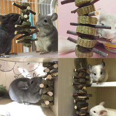 PeSandy bunny chew toys Timothy hay circles support healthy chewing and fiber intake