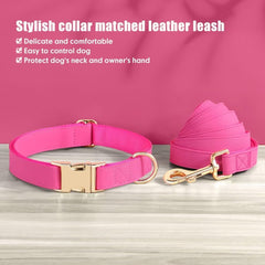 PET ARTIST 5ft leash in hot pink with clip closure for easy handling on walks.